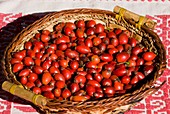 Rose-hips for herbal use
