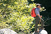 Man hiking in the sun