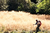 Man hiking in the sun