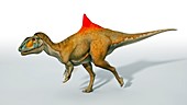 Concavenator dinosaur,artwork