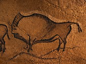 Stone-age cave paintings,Asturias,Spain