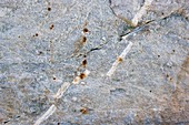 Quartz vein in granite