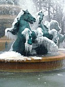 Frozen fountain,Paris,France