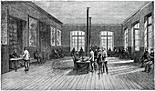 Pasteur Institute,19th century