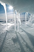 Melting Arctic ice,Canada