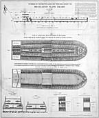 Slave ship diagrams,18th century