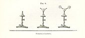 Hofmann's chemical models,1865