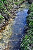 Chemically polluted waterway