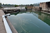 Polluted site of former copper works