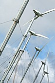 Wind farm,Reunion island