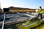 Microalgae production,France