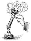 Sugar dehydration,19th century
