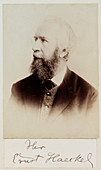 Ernst Haeckel,German naturalist