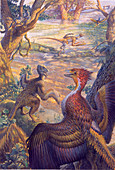 Microraptor and Jeholornis dinosaurs
