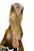 Baryonyx dinosaur model