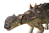 Euoplocephalus dinosaur model