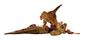 Velociraptor dinosaur model