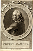 Petrus Camper,Dutch anatomist
