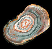 Cross section of agate stone