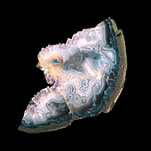 Agate cross section