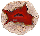 Agate thunderegg