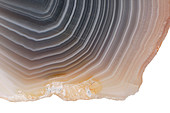 Agate cross section and layers