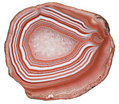 Agate stone cross section