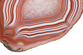Agate stone cross section