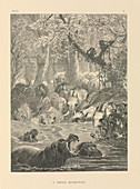 Tropical watering hole,19th century