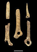 Prehistoric objects from Gough's Cave