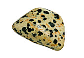 Leopardskin jasper stone
