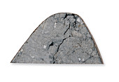 Lunar meteorite slice