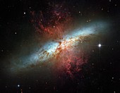 Cigar Galaxy (M82),HST image