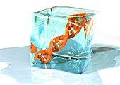 Frozen DNA,conceptual image