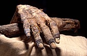 Ramases IV mummy,Egypt