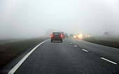 Cars driving in fog
