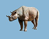 Brontops prehistoric rhino,artwork