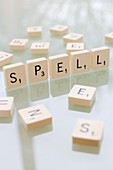 Spelling,conceptual image