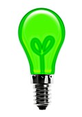 Eco-friendly light bulb,conceptual image