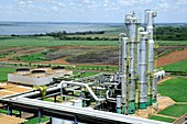 Biofuel production,Brazil