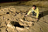 Palaeontological excavation