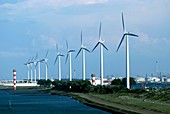 Wind turbines,Rotterdam