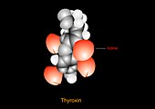 Thyroxine hormone molecule