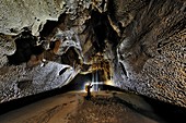 Cave walls,Borneo