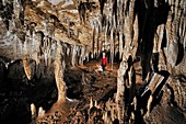 Cave formations,Borneo