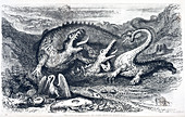 'The Age of Reptiles',artwork