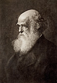 Charles Darwin,British naturalist