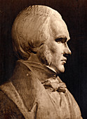 Charles Darwin,museum bust
