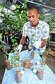 Plant pest control research