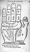17th Century palmistry diagram